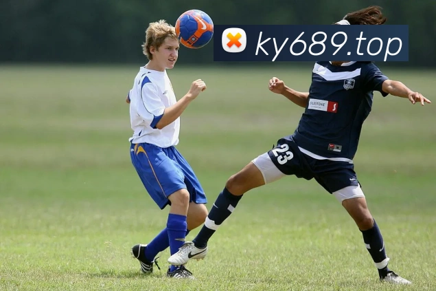 ky开云全站App